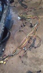 IMAG0061.jpg