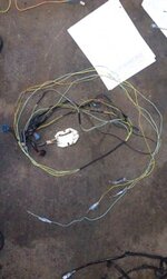 IMAG0063.jpg