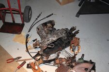 IMG_3390.jpg