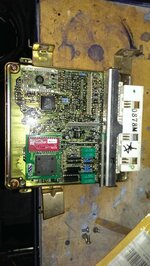 IMAG0065.jpg