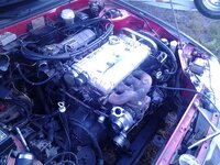 IMG_20131016_171039.jpg