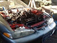IMG952013102095150618.jpg