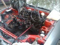 IMG_20131020_174507_2.jpg