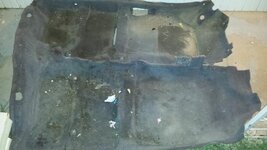 carpet before.jpg