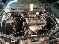 20130406_203211.jpg