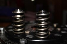 manleydualvalvesprings1.jpg