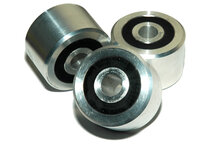 SPLIT_DSM_polydiffbush.jpg