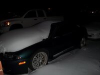 000_0005.jpg