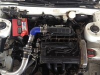 IMG_7005[1].jpg