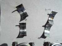 100_0048a.jpg