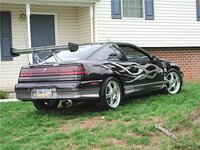 803back.jpg