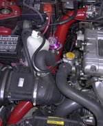 942dsc00001crop.jpg