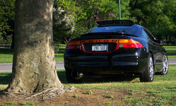 1128dcp_0152.jpg