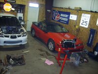 s5003771_196351.jpg