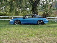 40622willowhighclose-med.jpg