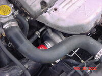 4281dsc00166-med.jpg