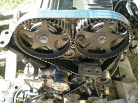 picture_668.jpg