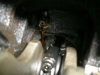 picture_745.jpg