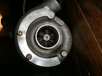 picture_770.jpg