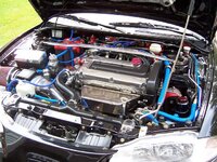 4480000_041275prcnt-med.jpg
