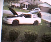4553cap_007.jpg