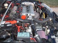 5203picture_056.jpg