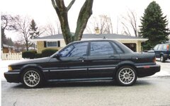 5771levsgalant1-med.jpg