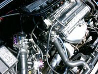6587im000023-med.jpg