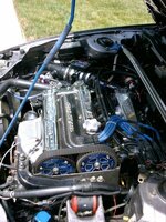 6587im000004-med.jpg