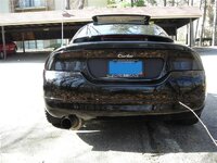 DSCN0074Medium.JPG