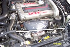 7755dcp_0442-med.jpg