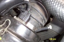 7755dcp_0443-med.jpg