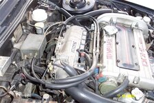 7755dcp_0444.jpg