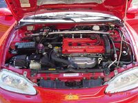 8154pic8.jpg