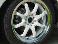 9365whtcloseup.jpg