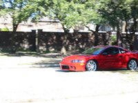 10319eclipsetrees.jpg