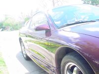 11248dsc00986.jpg