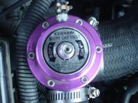 11248dsc01059.jpg