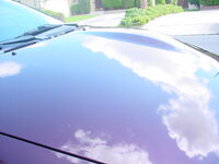 11248dsc00982.jpg