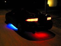 11827neon2_1.jpg