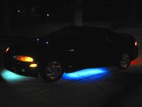 11827neon4_1.jpg