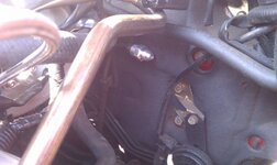 imag0383.jpg