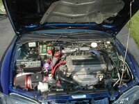 14953p4300095-med.jpg