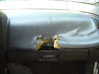 15912picture_009.jpg