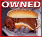 dogsammich.jpg