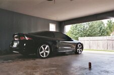 18556my_pictures0008.jpg