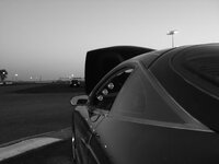 01262008_007.jpg