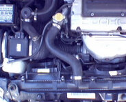 19582talon3.jpg