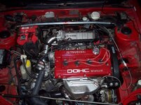 100_0741.jpg