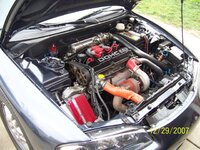 100_0149.sized.jpg